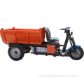 Tricycle électrique 3000 watt chargement automatique pour le transport